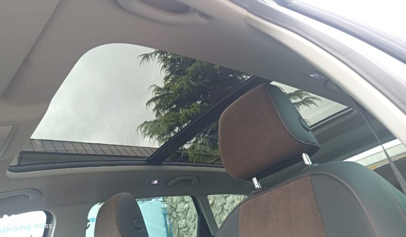 SEAT LEON X-PERIENCE 2.0 TDI DSG 4DRIVE full